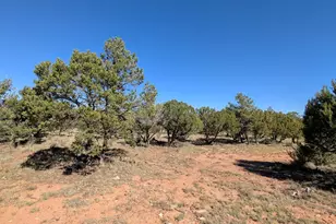 7267 Red Feather Ct, Happy Jack, AZ 86024 - Photo 16