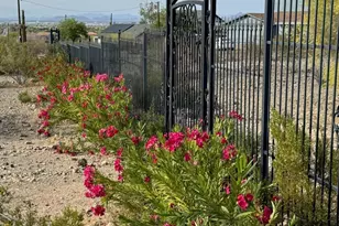 10445 S 27th Ave, Laveen, AZ 85339 - Photo 8