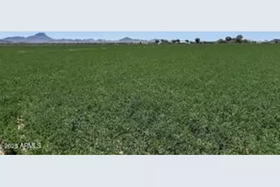 0 W Desert Rose Road #-, Arlington, AZ 85322 - Photo 6