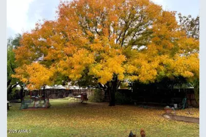1309 W Mackenzie Drive, Phoenix, AZ 85013 - Photo 38
