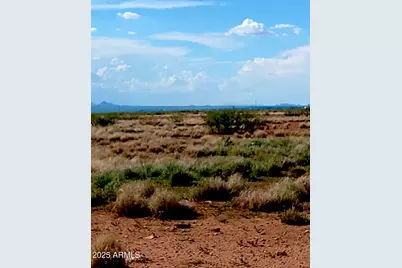 Tbd N Ee Ranch Lot 2 Of 4 Road #2 of 4, McNeal, AZ 85617 - Photo 4