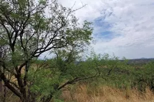 580 Cave Ln, Rio Rico, AZ 85648 - Photo 1