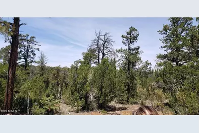 5113 Sunset Ridge Loop #187, Happy Jack, AZ 86024 - Photo 4