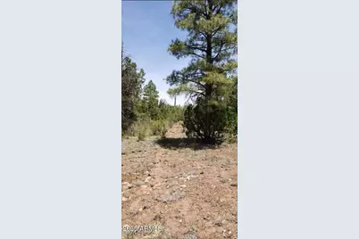 5113 Sunset Ridge Loop #187, Happy Jack, AZ 86024 - Photo 6