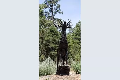 5113 Sunset Ridge Loop #187, Happy Jack, AZ 86024 - Photo 10