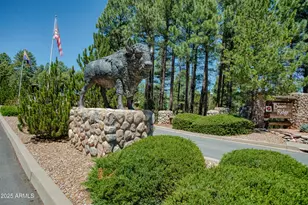 4696 W Tatanka Loop, Show Low, AZ 85901 - Photo 2