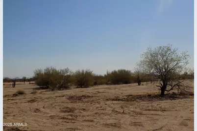 1.25 E Tbd-Cactus Forest /N Reed Lot2 Road #2, Florence, AZ 85132 - Photo 12
