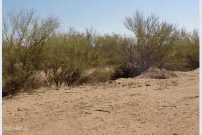 1.25 E Tbd-Cactus Forest /N Reed Lot2 Road #2, Florence, AZ 85132 - Photo 14