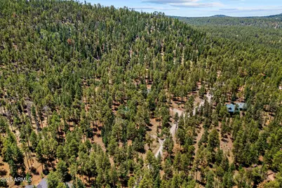 30 County Road N1068 --, Greer, AZ 85927 - Photo 46