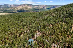 30 County Road N1068 --, Greer, AZ 85927 - Photo 48