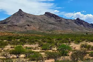 38 76 Acre N Bruno Rd, Douglas, AZ 85607 - Photo 1