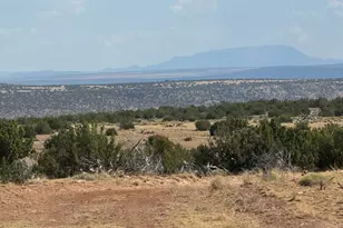 Lot 545C Woodland Valley Ranch --, Saint Johns, AZ 85936 - Photo 1