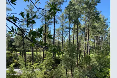 2112 E Grapevine Drive #513, Payson, AZ 85541 - Photo 2