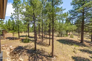 3040 S Solitaires Canyon Dr, Flagstaff, AZ 86005 - Photo 8