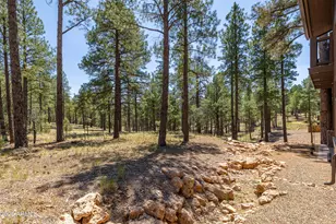 3040 S Solitaires Canyon Dr, Flagstaff, AZ 86005 - Photo 10