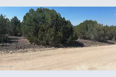 Lot 11 Uphill Trail -- #11, Vernon, AZ 85940 - Photo 14