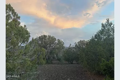Lot 11 Uphill Trail -- #11, Vernon, AZ 85940 - Photo 1