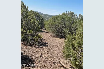 Lot 11 Uphill Trail -- #11, Vernon, AZ 85940 - Photo 12