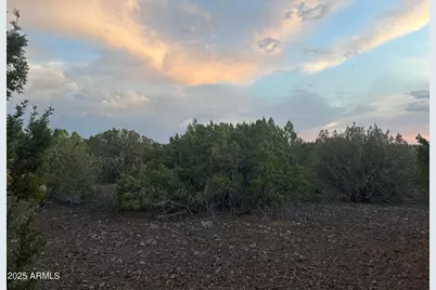 Lot 11 Uphill Trail -- #11, Vernon, AZ 85940 - Photo 8