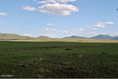 Lot 55 Concho Lakeland -- #55, Concho, AZ 85924 - Photo 2