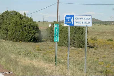 Lot 55 Concho Lakeland -- #55, Concho, AZ 85924 - Photo 8