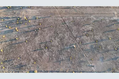 10111 W Old Highway 66 -- #7, Ash Fork, AZ 86320 - Photo 8