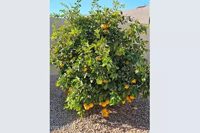 18114 W Desert Sage Drive, Goodyear, AZ 85338 - Photo 58