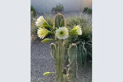 18114 W Desert Sage Drive, Goodyear, AZ 85338 - Photo 60