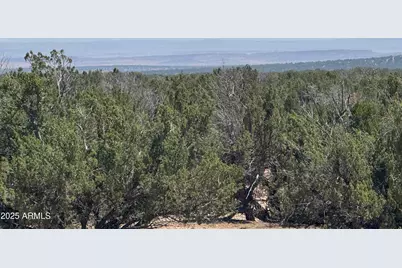 Lot 178 Red Sky Ranch -- #178, Saint Johns, AZ 85936 - Photo 16