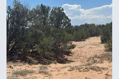 Lot 178 Red Sky Ranch -- #178, Saint Johns, AZ 85936 - Photo 8
