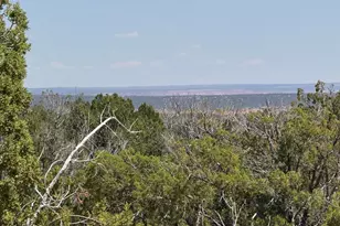 Lot 178 Red Sky Ranch --, Saint Johns, AZ 85936 - Photo 1