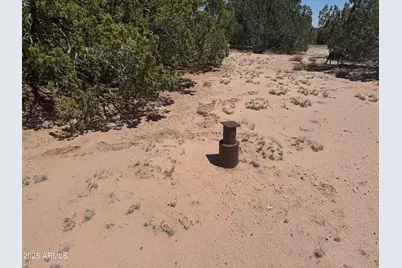 Lot 178 Red Sky Ranch -- #178, Saint Johns, AZ 85936 - Photo 4