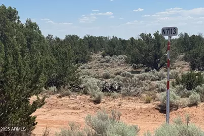 Lot 178 Red Sky Ranch -- #178, Saint Johns, AZ 85936 - Photo 2