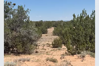 Lot 178 Red Sky Ranch -- #178, Saint Johns, AZ 85936 - Photo 6