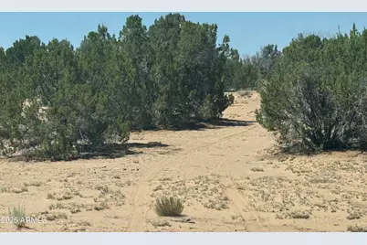 Lot 178 Red Sky Ranch -- #178, Saint Johns, AZ 85936 - Photo 12