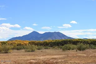 10550 E Hwy 92 Hwy, Hereford, AZ 85615 - Photo 64