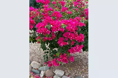 1295 N Lantana Place, Casa Grande, AZ 85122 - Photo 50