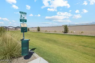 2399 E Rolling Prairie Ln, San Tan Valley, AZ 85140 - Photo 50