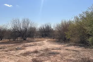 20625 W Skinner Dr, Wittmann, AZ 85361 - Photo 1