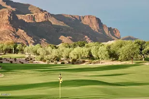 3173 S Mulberry Ct, Gold Canyon, AZ 85118 - Photo 44