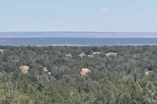 Lot 120B Red Sky Ranch --, Saint Johns, AZ 85936 - Photo 1