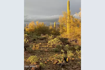 0 N Angel Basin Road #1, Queen Valley, AZ 85118 - Photo 4