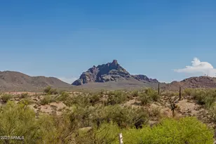 17306 E Niblick Way, Fountain Hills, AZ 85268 - Photo 72