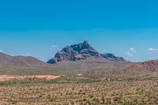 17306 E Niblick Way, Fountain Hills, AZ 85268 - Photo 88