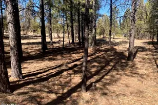 5236 Taos Cir, Happy Jack, AZ 86024 - Photo 1