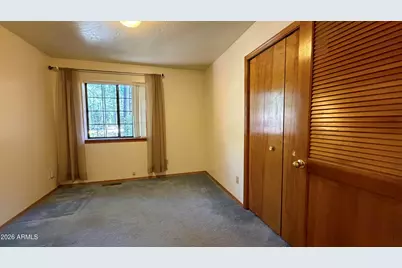 3 County Road 2089 --, Alpine, AZ 85920 - Photo 14