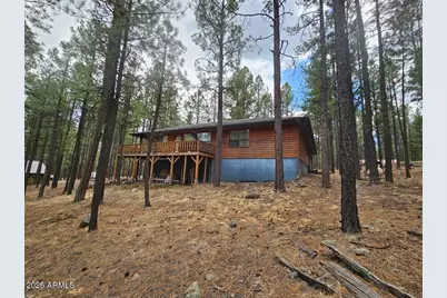 3 County Road 2089 --, Alpine, AZ 85920 - Photo 24
