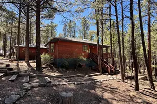 3 Co Rd 2089, Alpine, AZ 85920 - Photo 30