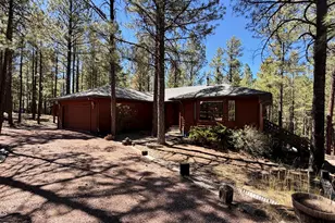 3 Co Rd 2089, Alpine, AZ 85920 - Photo 2