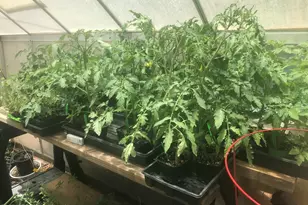 23576 S Sunny South Rd, Crown King, AZ 86343 - Photo 18